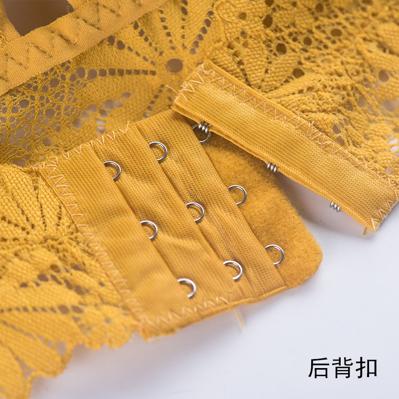 3D Sexy girl lace Lingerie Sea - Sheer Bra Lace 评论和价格