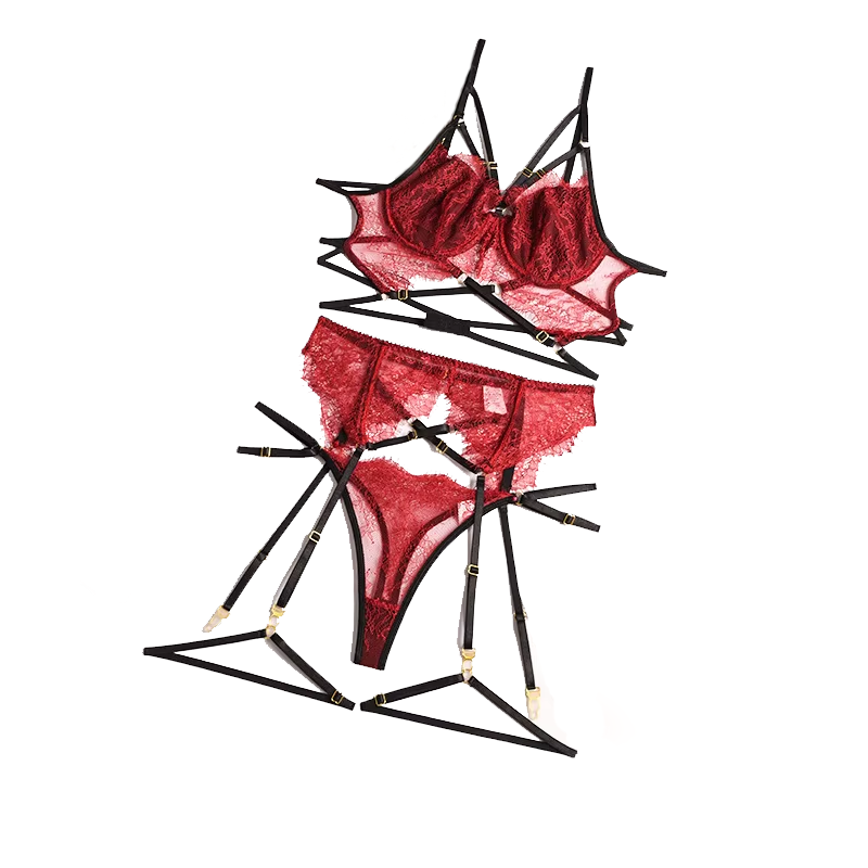 New Lace Sexy Lingerie Transpa - Sheer Bra Lace 评论和价格
